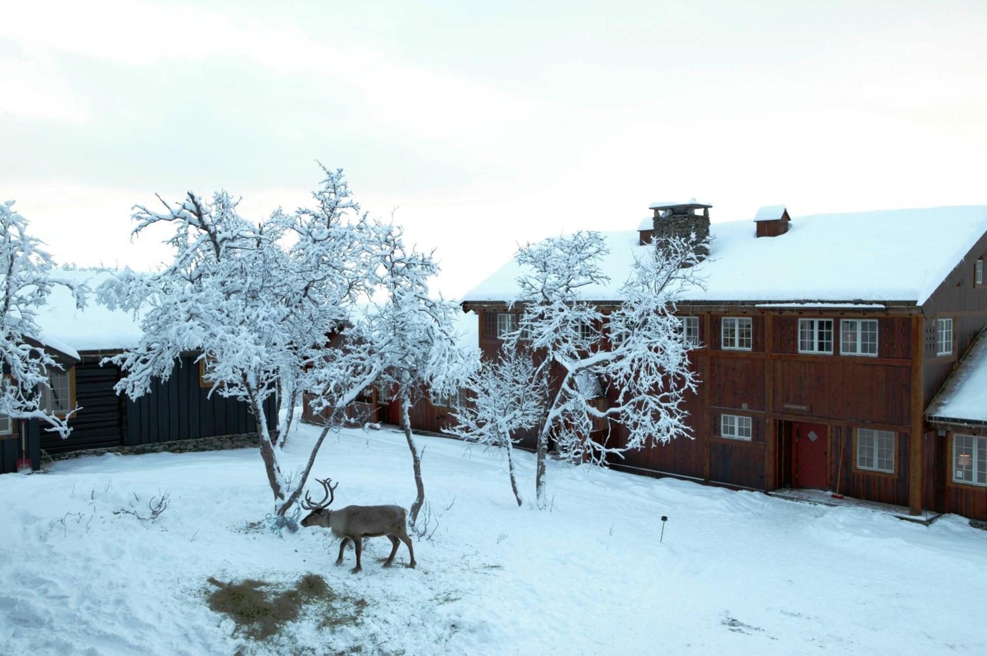 Harahorn Fjellgard Hotel Grondalen  Luaran gambar