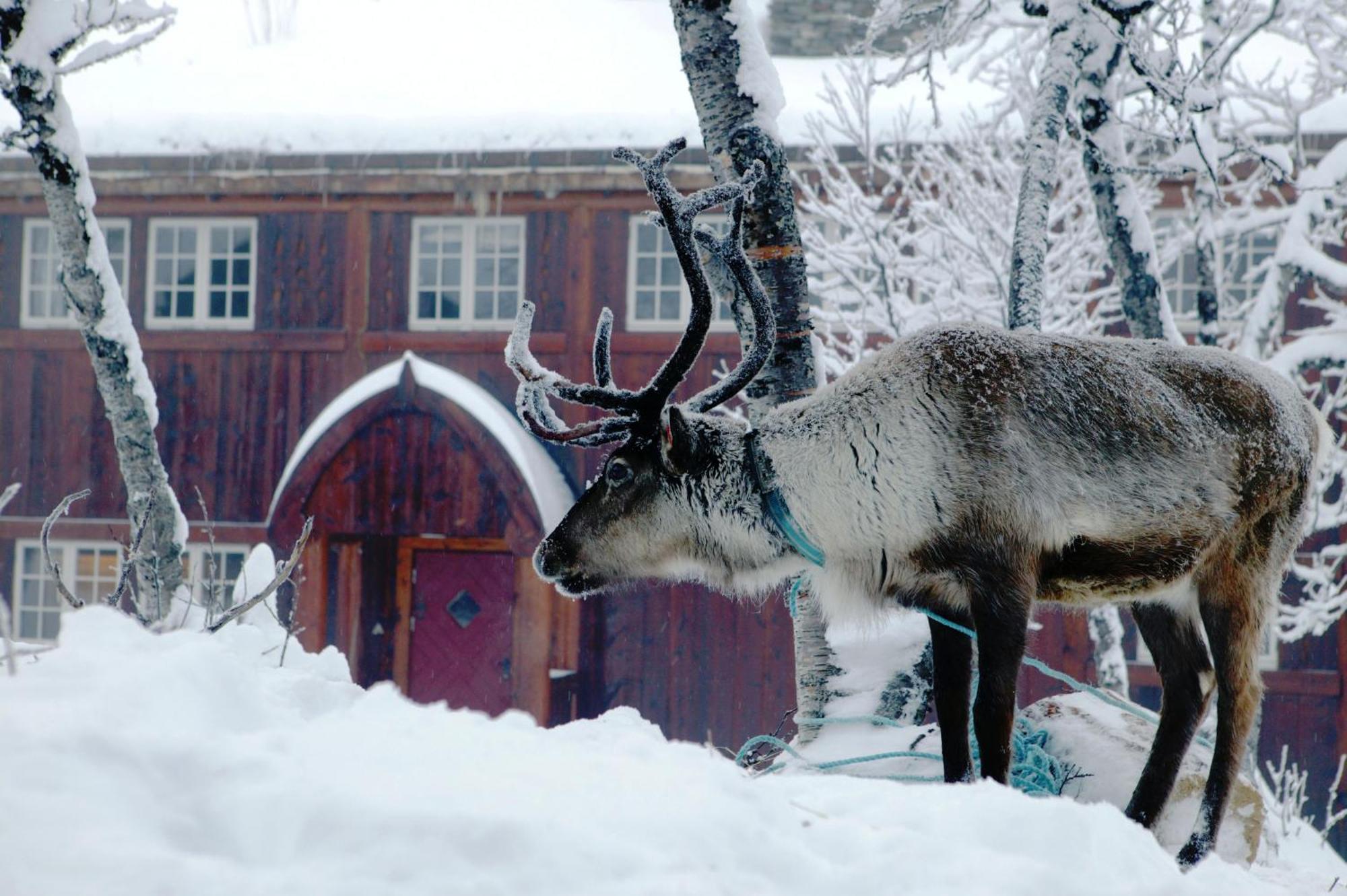 Harahorn Fjellgard Hotel Grondalen  Luaran gambar